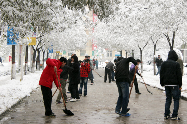 365游戏大厅学生积极开展义务劳动清扫积雪